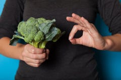 Conceito do estilo de vida do vegetariano, m?os que guardam o vegetal para a dieta foto de stock Conceito do estilo de vida do vegetariano, m?os que guardam o vegetal para a dieta foto de stock