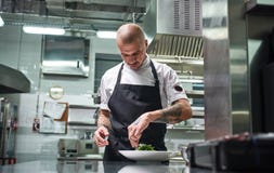 Concentrated at work. Portrait of handsome professional chef in black apron garnishing his dish on the plate while royalty free stock image Concentrated at work. Portrait of handsome professional chef in black apron garnishing his dish on the plate while royalty free stock image