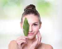 Concept cosmétique organique photo stock Concept cosmétique organique photo stock