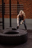 concept de formation individuelle sport amateur et professionnel images libres de droits concept de formation individuelle sport amateur et professionnel images libres de droits