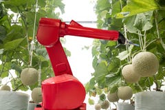 Concept de technologie d'Agritech, photo stock Concept de technologie d'Agritech, photo stock