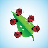 Concept groepswerk Insecten die samen blad, dit de dragen vertegenwoordigen ook eenheid, samenhorigheid, sterkte, handwork, die a stock illustratie Concept groepswerk Insecten die samen blad, dit de dragen vertegenwoordigen ook eenheid, samenhorigheid, sterkte, handwork, die a stock illustratie