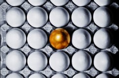 Concept of individuality, exclusivity, better choice. stock photo Concept of individuality, exclusivity, better choice. stock photo