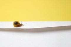 Concept - Snail Mail Stock Images
