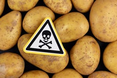 Concept for unhealthy or toxic substances in food like solanin or pesticide residues with skull warning sign on raw potatos