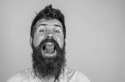 Concept van de aardbei het zoete smaak Mensen knappe hipster met lange baard die aardbei eten De mens geniet bessen van smaak Bes stock foto Concept van de aardbei het zoete smaak Mensen knappe hipster met lange baard die aardbei eten De mens geniet bessen van smaak Bes stock foto