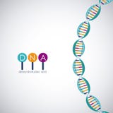 Conception de chromosome de structure d'ADN illustration stock Conception de chromosome de structure d'ADN illustration stock