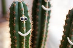 Concepto - cactus en una maceta con sonrisas divertidas, compañía alegre, buen humor Imagen de archivo libre de regalías Concepto - cactus en una maceta con sonrisas divertidas, compañía alegre, buen humor Imagen de archivo libre de regalías