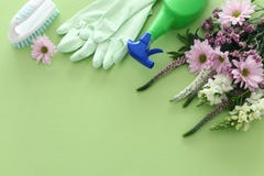 Concepto de la limpieza con las fuentes sobre fondo de madera verde en colores pastel Visi?n superior, endecha plana fotografía de archivo libre de regalías Concepto de la limpieza con las fuentes sobre fondo de madera verde en colores pastel Visi?n superior, endecha plana fotografía de archivo libre de regalías