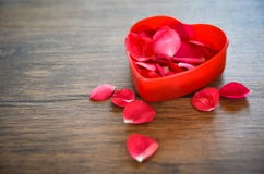 Concepto del corazón del amor de día de San Valentín/caja roja abierta del corazón adornada con los pétalos de rosas rojas en de imagenes de archivo Concepto del corazón del amor de día de San Valentín/caja roja abierta del corazón adornada con los pétalos de rosas rojas en de imagenes de archivo