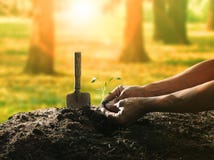 Conceptual da mão que planta a semente da árvore no solo sujo contra o Beau fotografia de stock Conceptual da mão que planta a semente da árvore no solo sujo contra o Beau fotografia de stock