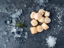 Conchas de peregrino crudas crudas con hielo en la textura gris de piedra imágenes de archivo libres de regalías Conchas de peregrino crudas crudas con hielo en la textura gris de piedra imágenes de archivo libres de regalías