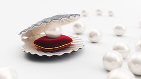 Conchiglia con la perla su un cuscino rosso molle del velluto con un colpo dell'oro Bella perla, gioielli costosi per le donne illustrazione di stock Conchiglia con la perla su un cuscino rosso molle del velluto con un colpo dell'oro Bella perla, gioielli costosi per le donne illustrazione di stock