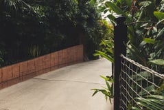Concrete pathway in jungle forest with rope net Stock Images Concrete pathway in jungle forest with rope net Stock Images