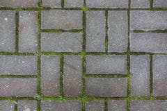 Concrete tile on the ground pavement path abstract pattern texture background with grass royalty free stock images Concrete tile on the ground pavement path abstract pattern texture background with grass royalty free stock images
