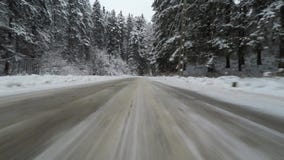 Conducción de automóviles en un bosque del invierno Conducción de automóviles en un bosque del invierno