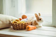 Conejito lindo de Pascua que se sienta en el travesaño de la ventana con la cesta de huevos y de zanahorias coloreados imagen de archivo libre de regalías Conejito lindo de Pascua que se sienta en el travesaño de la ventana con la cesta de huevos y de zanahorias coloreados imagen de archivo libre de regalías