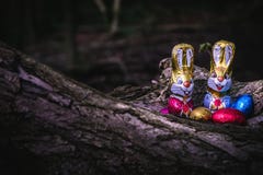 Conejito y huevos de pascua del chocolate ocultados por un árbol fotos de archivo Conejito y huevos de pascua del chocolate ocultados por un árbol fotos de archivo