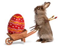 Conejo de conejito divertido de pascua con una carretilla y una Pascua roja eg. foto de archivo libre de regalías Conejo de conejito divertido de pascua con una carretilla y una Pascua roja eg. foto de archivo libre de regalías
