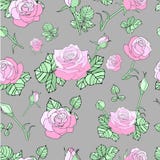 Configuration sans joint avec les roses roses illustration libre de droits Configuration sans joint avec les roses roses illustration libre de droits