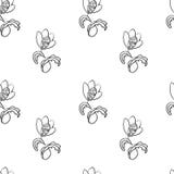 Configuration sans joint de vecteur Imagination, fleur fabuleuse avec des boucles illustration libre de droits Configuration sans joint de vecteur Imagination, fleur fabuleuse avec des boucles illustration libre de droits
