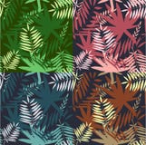 Configuration tropicale sans joint Laisse l'illustration de palmier Graphiques modernes Configuration tropicale sans joint Laisse l'illustration de palmier Graphiques modernes