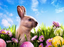 Coniglietto di pasqua del bambino di arte sull'erba verde della sorgente immagine stock Coniglietto di pasqua del bambino di arte sull'erba verde della sorgente immagine stock