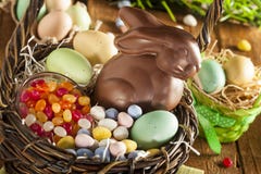 Coniglietto di pasqua del cioccolato in un canestro immagini stock Coniglietto di pasqua del cioccolato in un canestro immagini stock