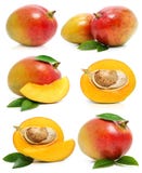 Conjunto de frutas frescas del mango aisladas en blanco foto de archivo libre de regalías Conjunto de frutas frescas del mango aisladas en blanco foto de archivo libre de regalías