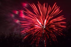 Conkers en Forest Fireworks nacional foto de archivo Conkers en Forest Fireworks nacional foto de archivo