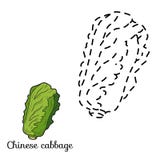 Connect the dots: fruits and vegetables (chinese cabbage) stock illustration Connect the dots: fruits and vegetables (chinese cabbage) stock illustration