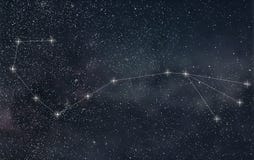 Constellation de Scorpion Lignes de constellation de Scorpion de signe de zodiaque illustration libre de droits Constellation de Scorpion Lignes de constellation de Scorpion de signe de zodiaque illustration libre de droits