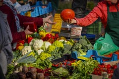 Consumer buying vegetables on the farmers market in Mainz stock images Consumer buying vegetables on the farmers market in Mainz stock images
