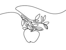 Continuous line apple in hand. Vector illustration. stock illustration Continuous line apple in hand. Vector illustration. stock illustration