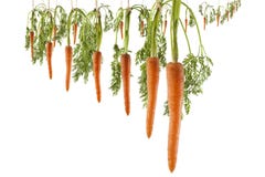 Continuous motivation stock photos Continuous motivation stock photos