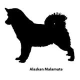 Contorno blanco y negro del Malamute de Alaska libre illustration Contorno blanco y negro del Malamute de Alaska libre illustration