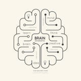 Contour linéaire plat Brain Concept d'éducation d'Infographic Vecteur illustration libre de droits Contour linéaire plat Brain Concept d'éducation d'Infographic Vecteur illustration libre de droits