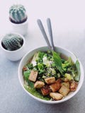 Cooked Food With Meats and Vegetables Inside White Bowl Royalty Free Stock Image Cooked Food With Meats and Vegetables Inside White Bowl Royalty Free Stock Image