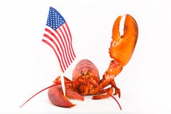 Cooked Lobster With Flag And Raised Claw Royalty Free Stock Images