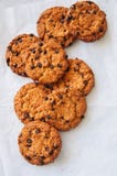 Cookies caseiros americanas tradicionais dos pedaços de chocolate em um fio fotografia de stock Cookies caseiros americanas tradicionais dos pedaços de chocolate em um fio fotografia de stock