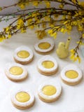 Cookies caseiros do limão da Páscoa e galhos de florescência da forsítia em um fundo claro imagens de stock Cookies caseiros do limão da Páscoa e galhos de florescência da forsítia em um fundo claro imagens de stock