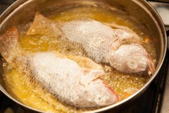 Cooking Tilapia Fish Stock Photography