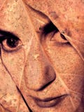 Cool Abstract Female Portraits Stock Photos Cool Abstract Female Portraits Stock Photos