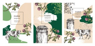 Copertura del campione per l'opuscolo agricolo Bidone di latte, mucca e fiori del prato Modelli per l'azienda lattiera Ambiti di illustrazione vettoriale Copertura del campione per l'opuscolo agricolo Bidone di latte, mucca e fiori del prato Modelli per l'azienda lattiera Ambiti di illustrazione vettoriale