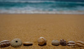 Coperture del mare sulla sabbia Priorità bassa della spiaggia di estate Concetto di ora legale, spazio della copia fotografia stock libera da diritti Coperture del mare sulla sabbia Priorità bassa della spiaggia di estate Concetto di ora legale, spazio della copia fotografia stock libera da diritti