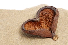 Coperture Heart-shaped fotografia stock libera da diritti Coperture Heart-shaped fotografia stock libera da diritti