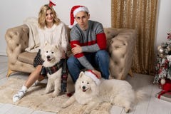 Coppie alla moda dei pantaloni a vita bassa in maglioni che posano con i cani immagine stock Coppie alla moda dei pantaloni a vita bassa in maglioni che posano con i cani immagine stock