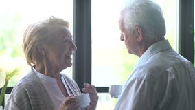 Coppie anziane amorose e felici in un appartamento moderno parlano, bevono il tè e ridono stock footage Coppie anziane amorose e felici in un appartamento moderno parlano, bevono il tè e ridono stock footage