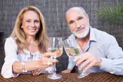 Coppie anziane con vino fotografia stock libera da diritti Coppie anziane con vino fotografia stock libera da diritti