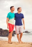 Coppie gay felici immagine stock Coppie gay felici immagine stock